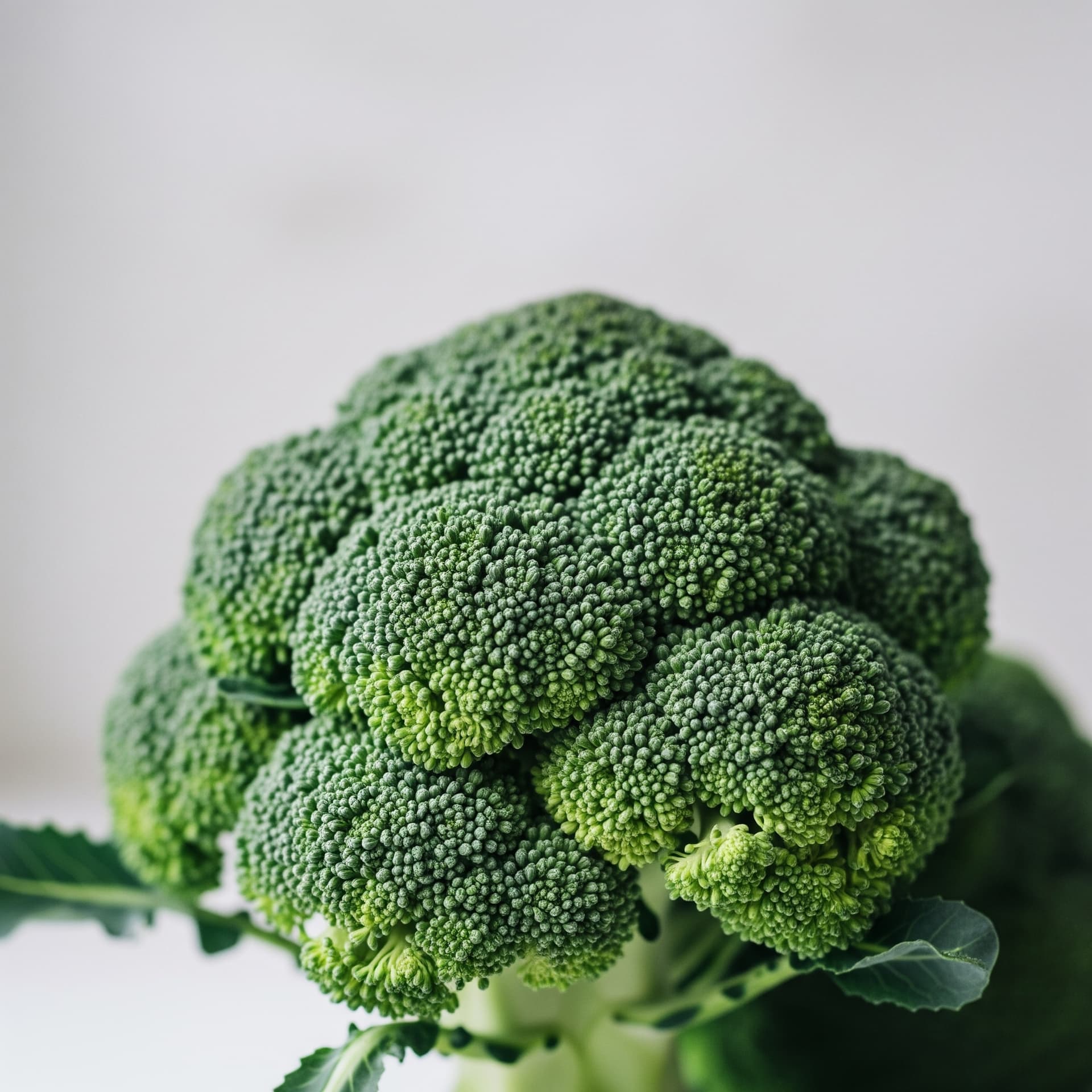 Organic Broccoli