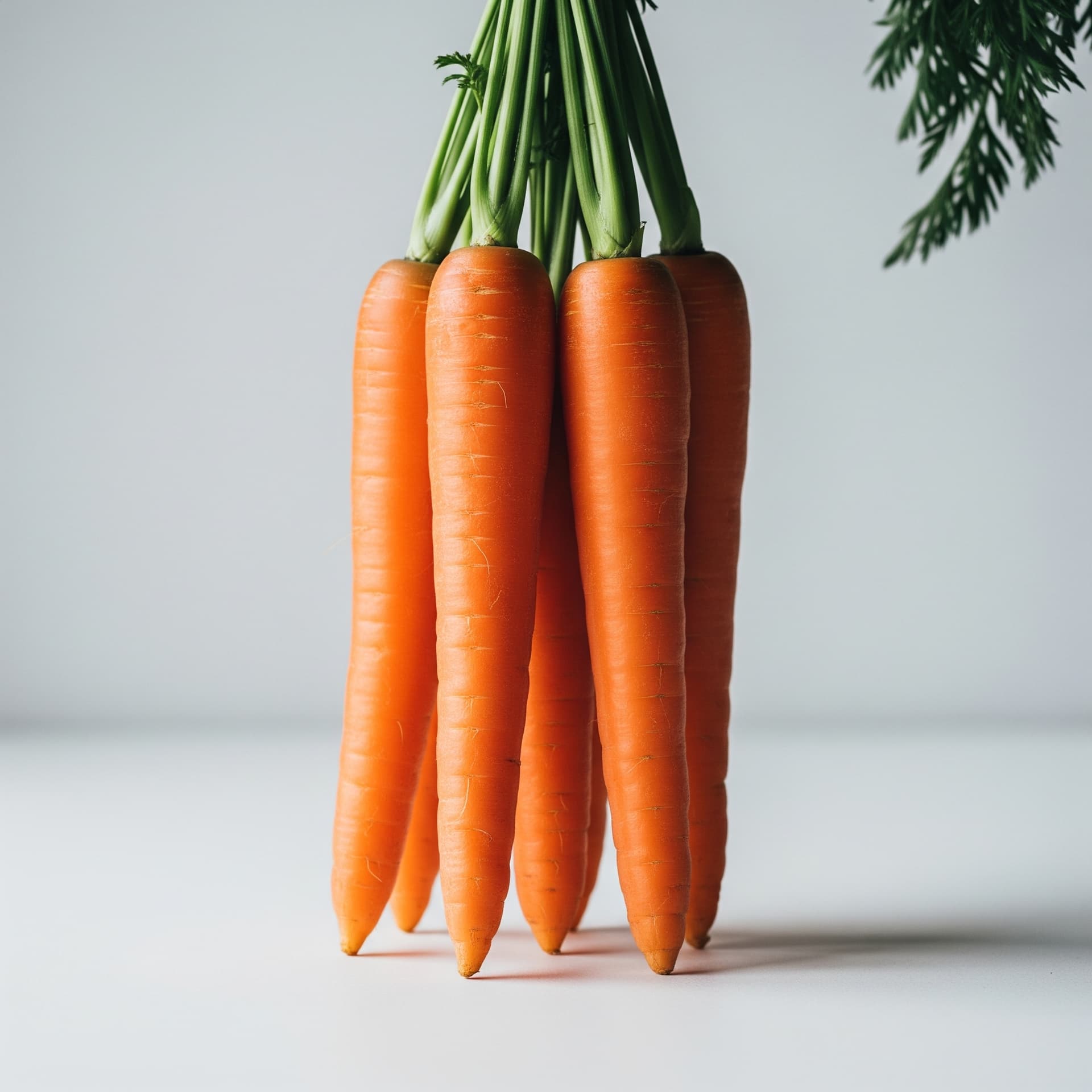 Organic Carrots